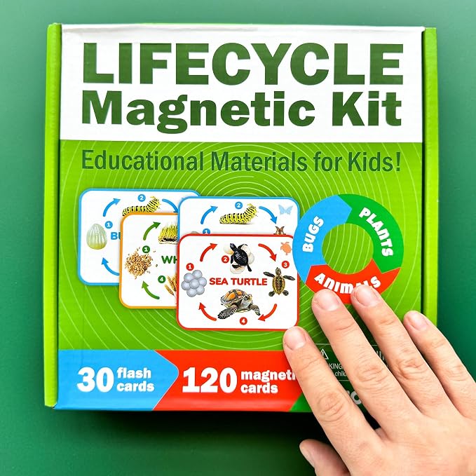 Life Cycle Toys for Kids — Magnetic Flash Cards Science Kits for Kids 3-5 - Image 8