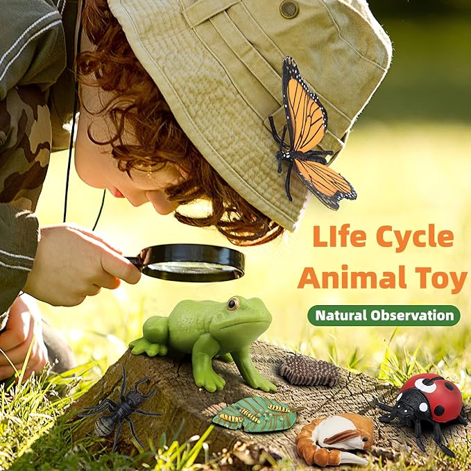 Montessori Chicken Life Cycle with Flash Cards, Realistic Animal Figurines Toy, Animal Educational Matching Game for 3+ Year Old Kids (Cock) - Image 5