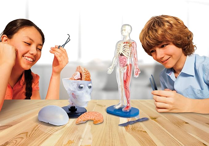 SMARTLAB Toys Totally Squishy from Head-to-Toe - 60 Pieces - 36 Removable Parts - 12" Human Body Model & Stand - 24-Page Illustrated Book - Includes Glowing Eyeballs! - Image 7