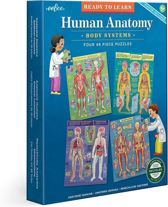 eeBoo Human Anatomy 48 Giant Piece Children's Puzzle, Four 12 PC Puzzles by eeBoo