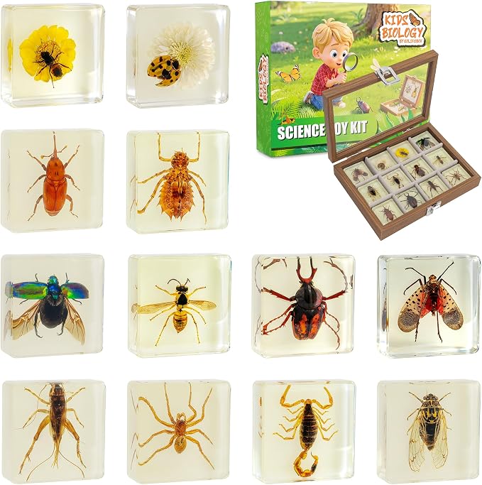 Insect Specimen Set, Bugs Collection Scientific Education Gift for Kids Aged 3-8-12 (12 Pack Glow-in-The-Dark) by EJLIFEBOX