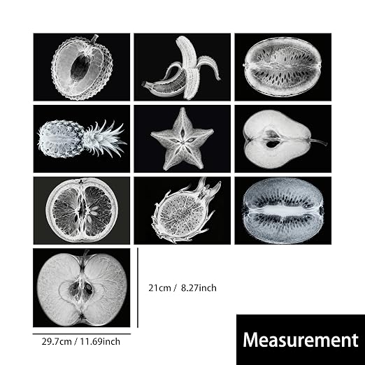 Vegetable, Fruit and Plant X-Rays, Set of 10, Simulation Specimen, Science Experiment Material for Kindergarten, Light Table, Montessori & Reggio-Inspired (Fruit) - Image 2