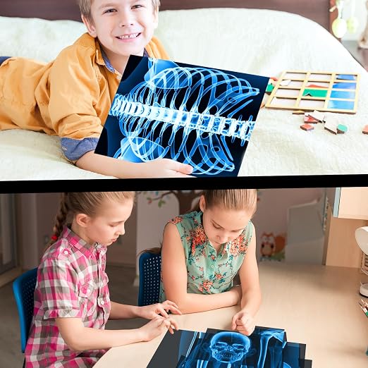 Lineshading 16 Pieces Human x Rays Bones Pretend x Rays for Kids Human Bones Body Educational Science Kit Display Play Table(Blue) - Image 6