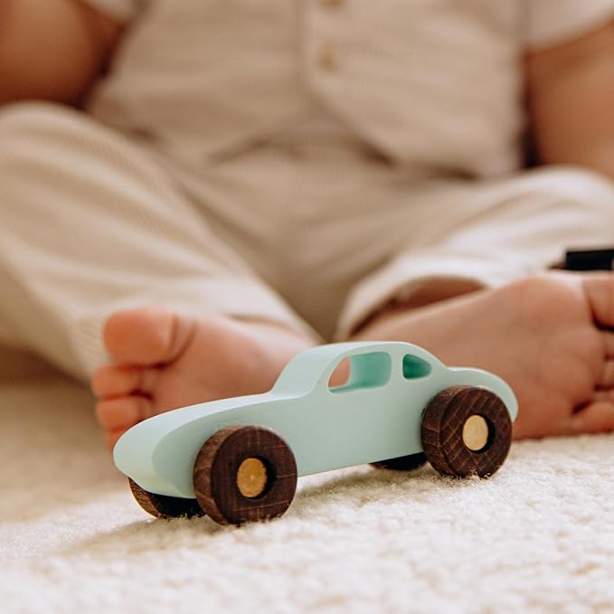 BUSY PUZZLE Colorful Wooden Toy Cars Set 2-Pack Truck and Car Durable Wooden Vehicles for Kids Montessori-Inspired Gift for Toddlers