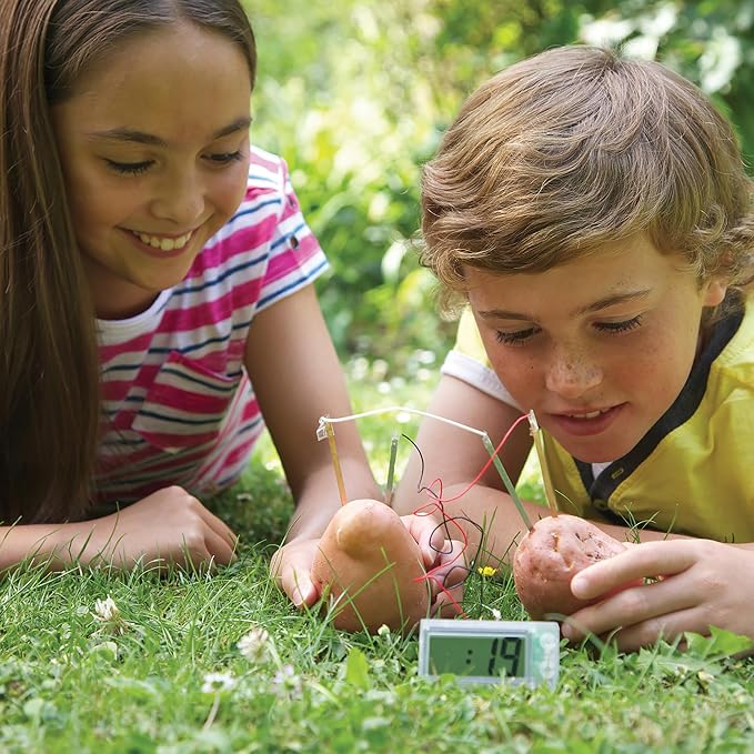4M: Green Science: Potato Clock - DIY & Experience Battery-Free Renewable Energy, Power A Digital Clock, STEM Learning Craft Activity Kit, Kids Age 5+ - Image 2