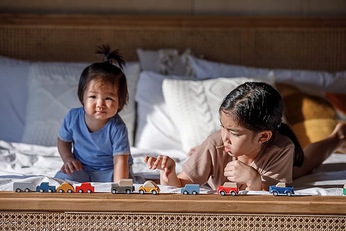 PlanToys® Car Set Wooden Montessori Vehicle Set | Early Movement, Imagination and Practical Life Exploration | Eco Friendly Car Set for Indoor and Outdoor Play