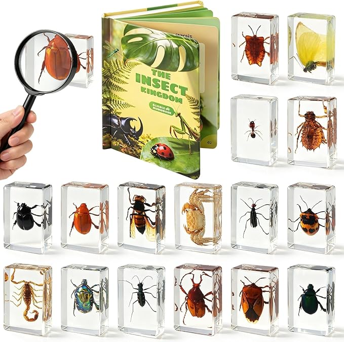 16 Pcs Real Insect in Resin Specimens Set with Magnifying Glass and Audiobooks, Various Butterflies, Bugs and Beetles Collection for Science Education, Classroom, Biology, Preschool, Home Display by FODAHRWS