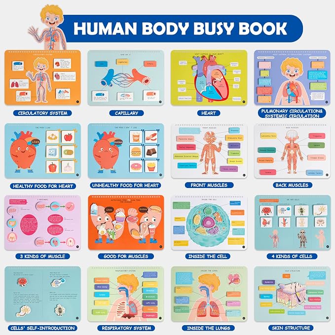 Freebear Montessori Busy Book for Kids, Human Body Anatomy Book for Toddlers, Preshool Kindergarten Learning Activities, Autism Sensory Toys, Gifts for Girls and Boys 4 5 6 7 Years - Human Body System - Image 2