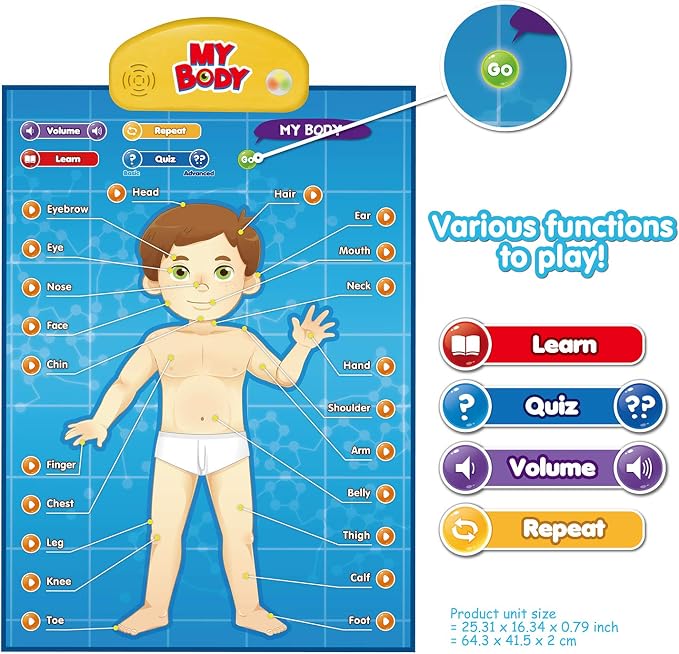 BEST LEARNING i-Poster My Body - Interactive Talking Human Anatomy Toy - Image 2
