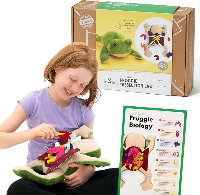 KiwiCo Froggie Lab Dissection Plush Toy | 5-Piece Organ Anatomy Learning Activity | Interactive Biology STEM Stuffed Animal for Kids Ages 3+ - Art & Science Gift by KiwiCo