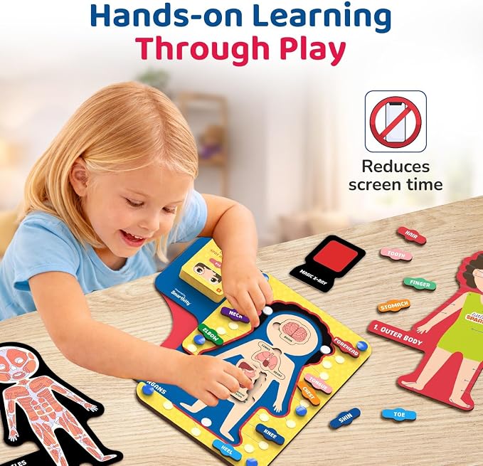 Smartivity Human Body Anatomy Puzzle for Kids 4-7 Years - Image 3
