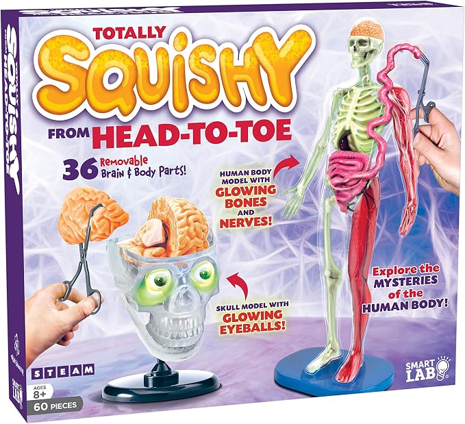 SMARTLAB Toys Totally Squishy from Head-to-Toe - 60 Pieces - 36 Removable Parts - 12" Human Body Model & Stand - 24-Page Illustrated Book - Includes Glowing Eyeballs! by SMARTLAB