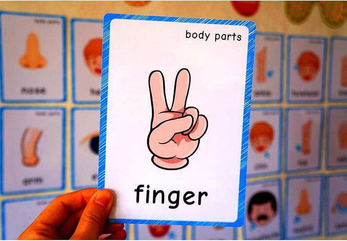 SANTSUN 36 Pieces of My Body Parts Flash Cards for Toddlers- The Flash HolePunched- So You can sort and Organize The Cards Easily and Early Learning Kindergarten Teacher Tools - Image 6