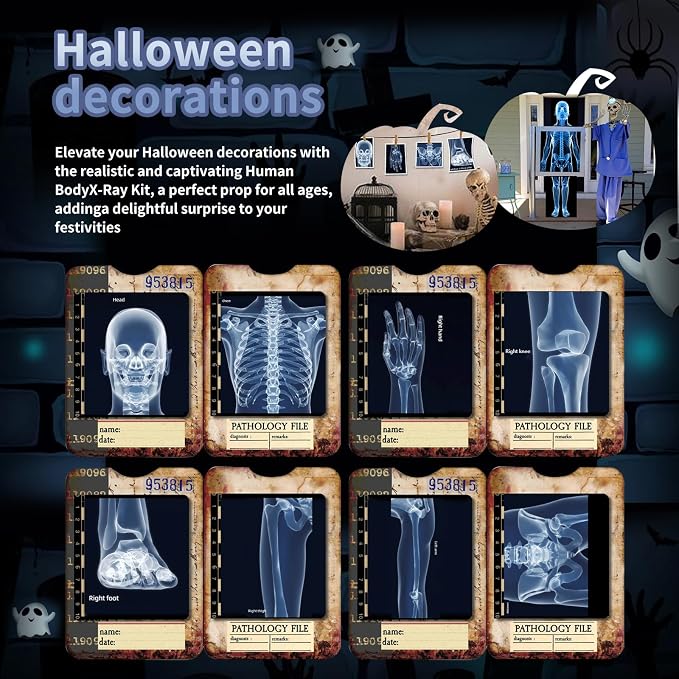 Human X-Rays for Kids' Light Table - 14-Piece Skeleton Puzzle & 7 Body System Charts (Nerves, Vessels, Lymphatic) - X-Ray Toys for Kids, STEM Toy for Light Table, School Projects & Doctor Role Play - Image 4