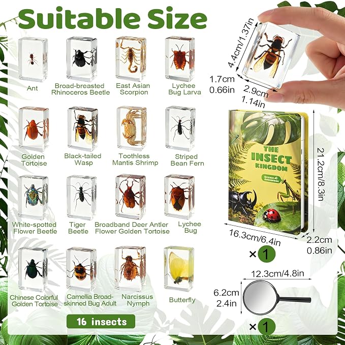 16 Pcs Real Insect in Resin Specimens Set with Magnifying Glass and Audiobooks, Various Butterflies, Bugs and Beetles Collection for Science Education, Classroom, Biology, Preschool, Home Display - Image 2