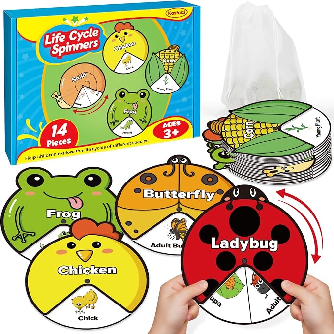 Kasfalci Life Cycle Toys for Kids,Back to School Supplies,Animal Plant Insect Bug Ladybug Butterfly Tadpole to Frog Kit,Montessori Learning & Education Toys,Preschool Science Learning Activities by Kasfalci