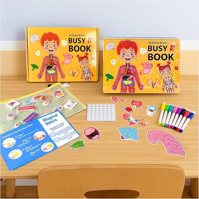 Human Body Anatomy Educational Workbook – Early Learning Materials, 1 Pcs (Orange) by BEMAXYE