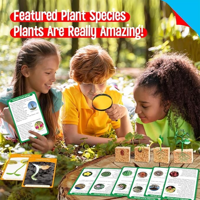 15 Plant Life Circle Flashcards with 4 Plastic Figurines-Seed to Plant, Plants Introduction Card Plants Growth Details for Nature Lovers & Adults, Montessori Toy for Kids - Image 5