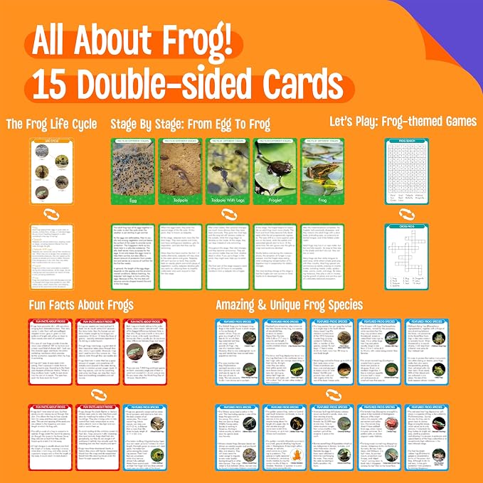 15 Frog Life Circle Flashcards with 5 Plastic Figurines, Frogs Introduction Cards Plastic Insects Tadpole to Frog Kit Toy for Kids, Adults, Animal Lovers - Image 2