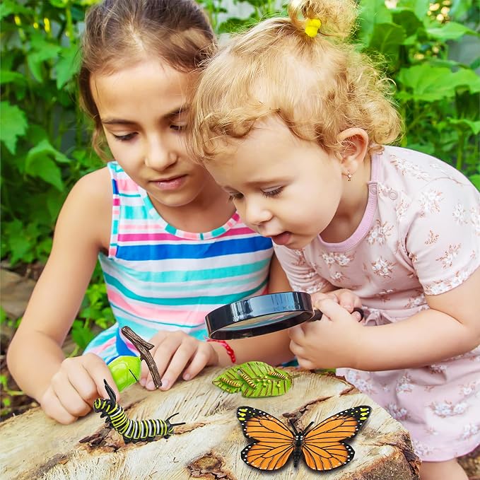 15 Butterfly Life Circle Flashcards with 4 Plastic Figurines, Butterflies Introduction Cards Plastic Insects Egg to Butterfly Kit Toy for Kids, Adults, Animal Lovers - Image 8