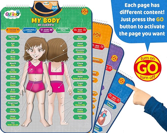 Bilingual Human Body Model for Kids – Interactive Human Anatomy for Kids with Games & Quizzes – Educational Posters for Learning Body Parts, Bones & Organs. English and Spanish for Kids. - Image 7