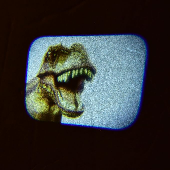 Dinosaur Projector Viewer – Educational STEM Toy for Kids – Handheld Photo Viewer with Realistic Dino Images – Learning & Science Gift Ages 3+ - Image 6