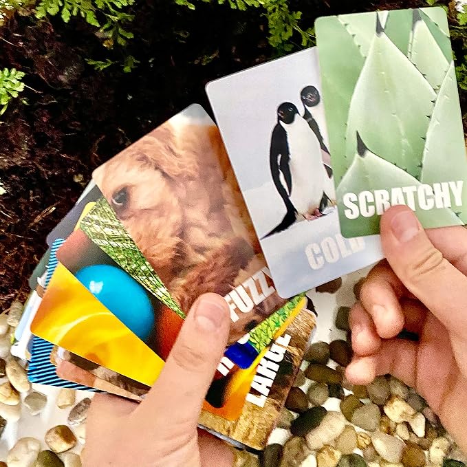 Hapinest Find and Seek Scavenger Hunt Card Game, Indoor Outdoor Activities for Kids Toddler & Family, Beach Camping Travel Car Games for Road Trips, Kids Scavenger Hunt Game Age 3 4 5 6 Years Old & Up - Image 4