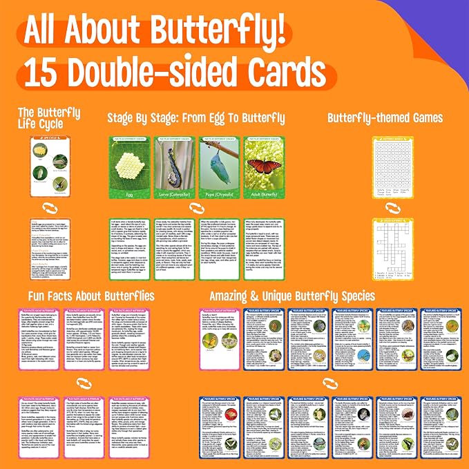 15 Butterfly Life Circle Flashcards with 4 Plastic Figurines, Butterflies Introduction Cards Plastic Insects Egg to Butterfly Kit Toy for Kids, Adults, Animal Lovers - Image 2