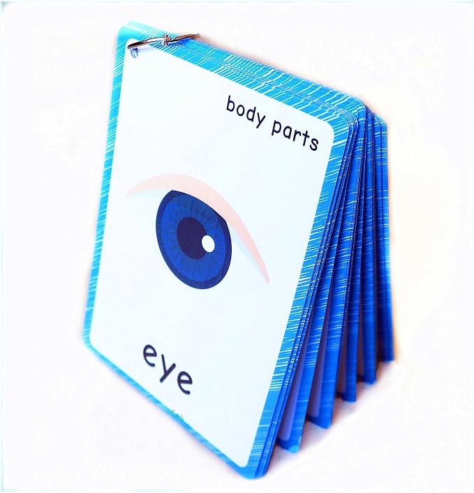SANTSUN 36 Pieces of My Body Parts Flash Cards for Toddlers- The Flash HolePunched- So You can sort and Organize The Cards Easily and Early Learning Kindergarten Teacher Tools by SANTSUN
