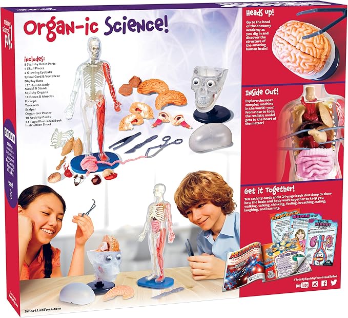 SMARTLAB Toys Totally Squishy from Head-to-Toe - 60 Pieces - 36 Removable Parts - 12" Human Body Model & Stand - 24-Page Illustrated Book - Includes Glowing Eyeballs! - Image 2
