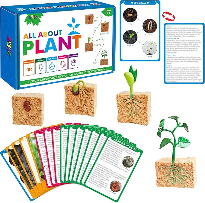 15 Plant Life Circle Flashcards with 4 Plastic Figurines-Seed to Plant, Plants Introduction Card Plants Growth Details for Nature Lovers & Adults, Montessori Toy for Kids by SpriteGru