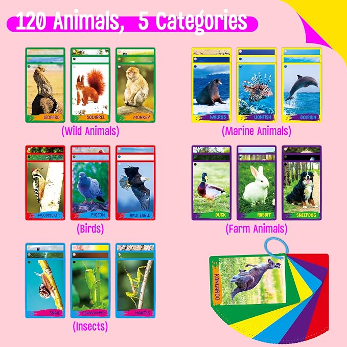 My First 120 Animals, 60PCS Realistic Zoo Animal Cards Farm/Wild/Marine Animals/Insects/Birds Flashcards Montessori & Science Educational Toys Preschool Learning for Homeschool Preschool Toddler Kids - Image 3