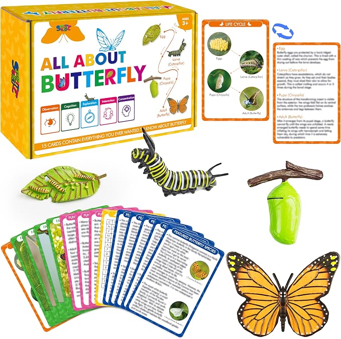 15 Butterfly Life Circle Flashcards with 4 Plastic Figurines, Butterflies Introduction Cards Plastic Insects Egg to Butterfly Kit Toy for Kids, Adults, Animal Lovers by SpriteGru