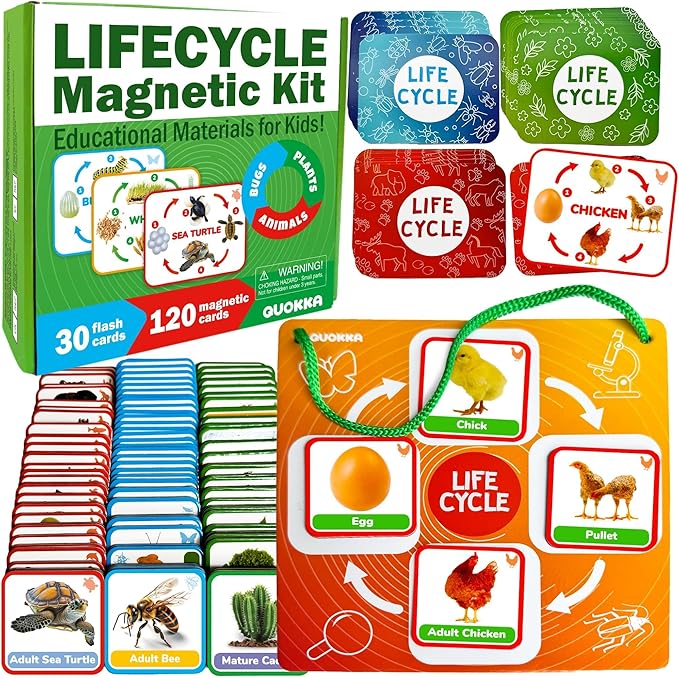 Life Cycle Toys for Kids — Magnetic Flash Cards Science Kits for Kids 3-5 by QUOKKA
