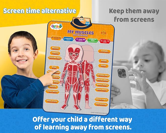 Bilingual Human Body Model for Kids – Interactive Human Anatomy for Kids with Games & Quizzes – Educational Posters for Learning Body Parts, Bones & Organs. English and Spanish for Kids. - Image 3