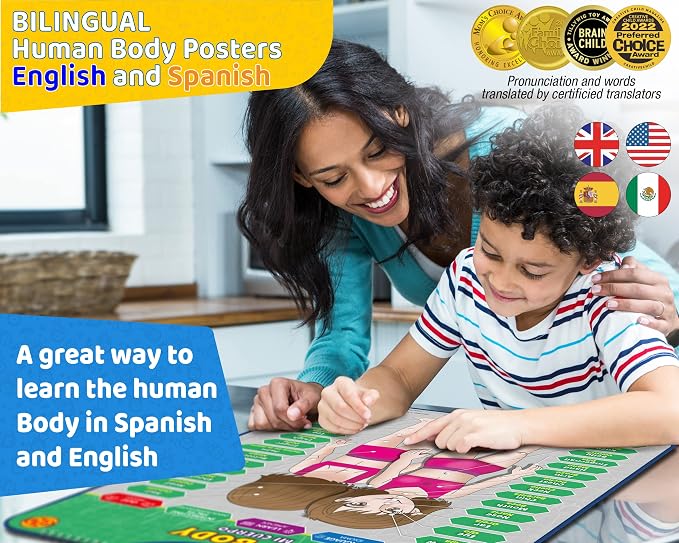 Bilingual Human Body Model for Kids – Interactive Human Anatomy for Kids with Games & Quizzes – Educational Posters for Learning Body Parts, Bones & Organs. English and Spanish for Kids. - Image 2