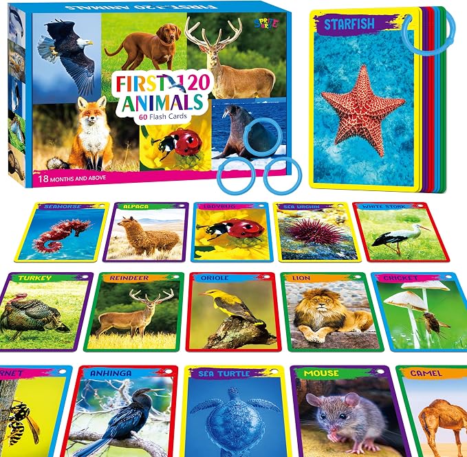 My First 120 Animals, 60PCS Realistic Zoo Animal Cards Farm/Wild/Marine Animals/Insects/Birds Flashcards Montessori & Science Educational Toys Preschool Learning for Homeschool Preschool Toddler Kids by SpriteGru