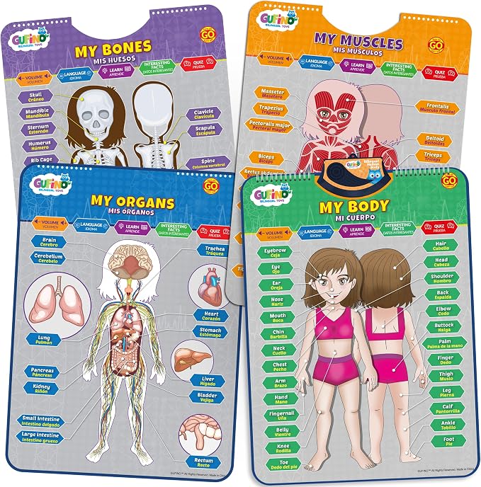 Bilingual Human Body Model for Kids – Interactive Human Anatomy for Kids with Games & Quizzes – Educational Posters for Learning Body Parts, Bones & Organs. English and Spanish for Kids. by GUFINO