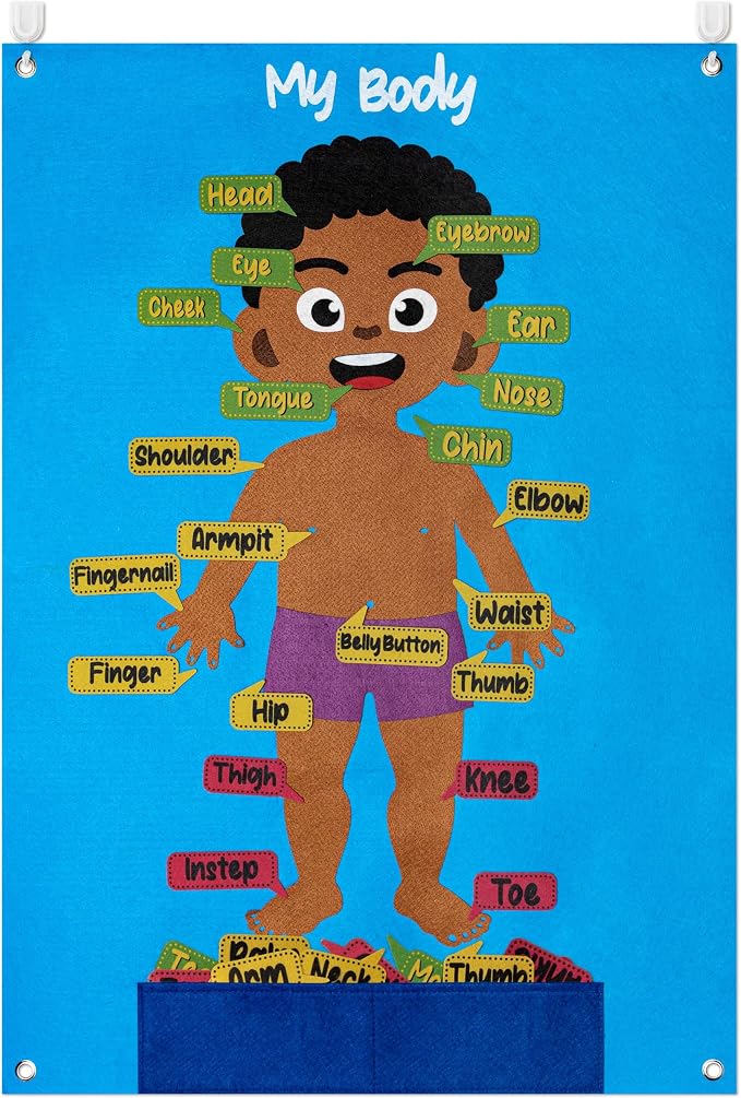 WATINC Body Parts Felt Story Board Set - 35Pcs Flannel Teaching Kit (Brown) by WATINC