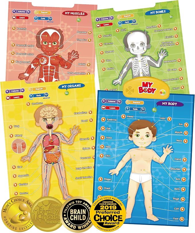 BEST LEARNING i-Poster My Body - Interactive Talking Human Anatomy Toy by BESTLEARNING