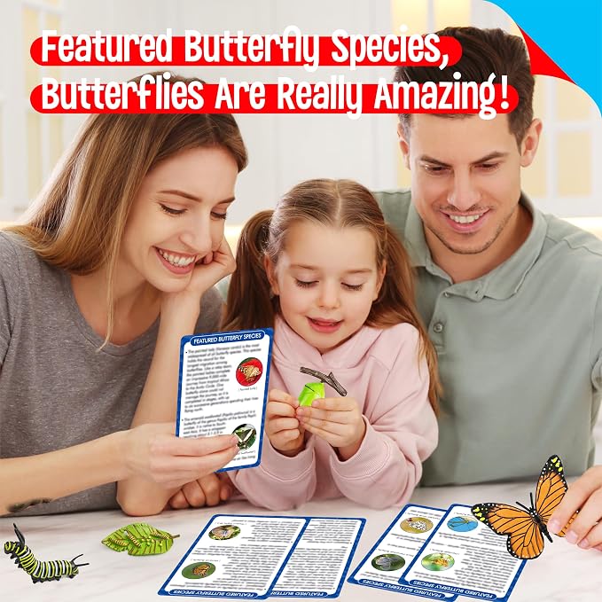 15 Butterfly Life Circle Flashcards with 4 Plastic Figurines, Butterflies Introduction Cards Plastic Insects Egg to Butterfly Kit Toy for Kids, Adults, Animal Lovers - Image 5