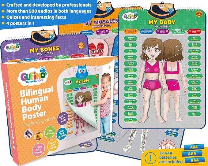 Bilingual Human Body Model for Kids – Interactive Human Anatomy for Kids with Games & Quizzes – Educational Posters for Learning Body Parts, Bones & Organs. English and Spanish for Kids. - Image 6