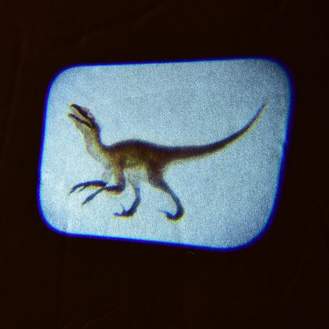 Dinosaur Projector Viewer – Educational STEM Toy for Kids – Handheld Photo Viewer with Realistic Dino Images – Learning & Science Gift Ages 3+ - Image 4