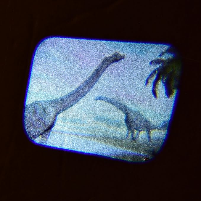 Dinosaur Projector Viewer – Educational STEM Toy for Kids – Handheld Photo Viewer with Realistic Dino Images – Learning & Science Gift Ages 3+ - Image 5