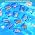 12Pcs Marine Specimen Set in Resin – Real Taxidermy Sea Creatures Collection with Magnifier for Marine Biology Decor, Display & Ocean Lovers Gift - Image 6